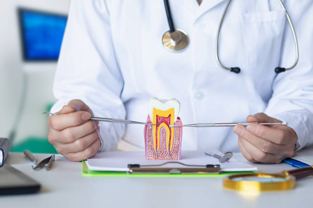 Best Emergency Dental Services for Seniors in Winterset, IA